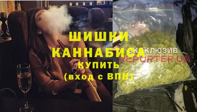 где продают   Шадринск  Канабис сатива 